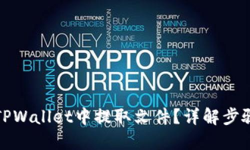 如何从TPWallet中提取文件？详解步骤与技巧