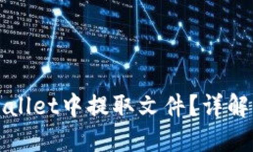 如何从TPWallet中提取文件？详解步骤与技巧