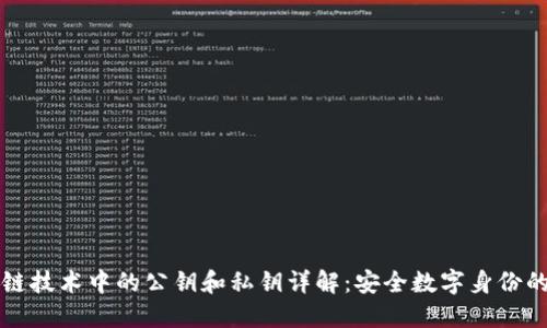 区块链技术中的公钥和私钥详解：安全数字身份的基石