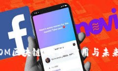 全面了解OM区块链：优势、应用与未来发展趋势